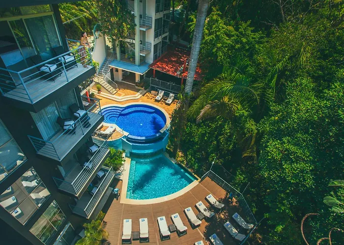 Сity center hotels Jungle Vista Boutique